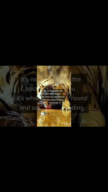 Mfr Quotes in english (1) #MfrQuotes