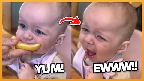 BABIES TRY LEMONS FOR THE FIRST TIME COMPILATION !