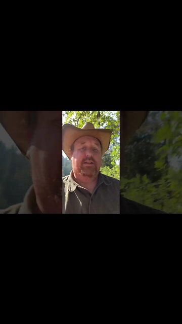 Looking for Bigfoot while my dog jumps in the water