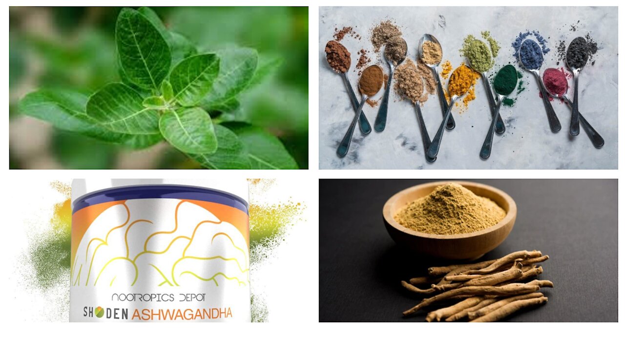 Ashwagandha Adaptogenic Stress Fighting Brain Benefits