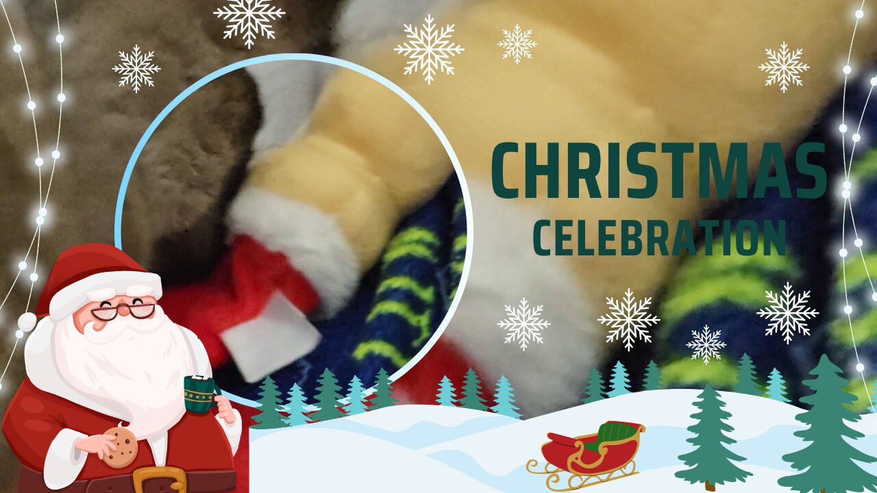 christmas celebration with adult toys