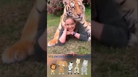 My Friend is a Tiger