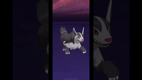 Hilbert (Fall 2020) & Mightyena Sync Pair Move Gameplay - Pokémon Masters EX