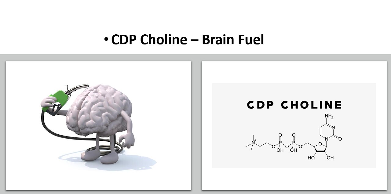 CDP Choline & Choline Sources For Cognitive Function & Nootropic Enhancement