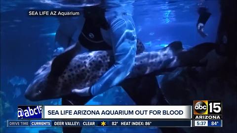 Shark Week blood drive kicking off in the Valley