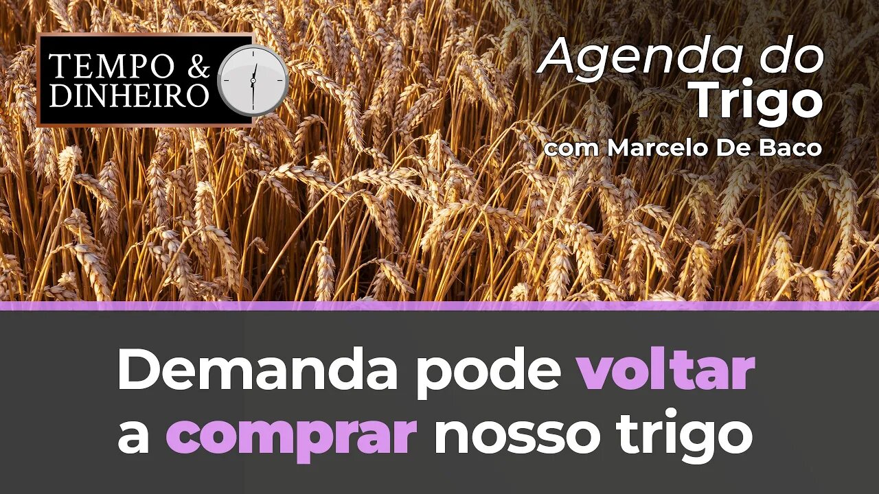 A demanda pode voltar a comprar nosso trigo, mas isto não representa preços melhores