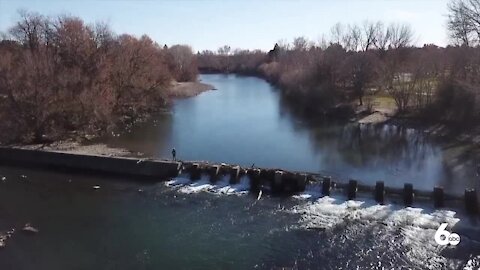 The Boise River has been stocked with plenty of steelhead for local anglers