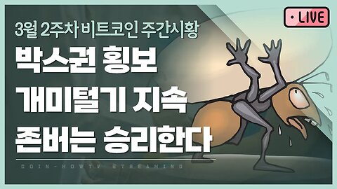 박스권 횡보 개미털기 지속 3월 2주차 비트코인 주간시황|존버는 언제나 승리한다 희망회로 가즈아! analysis of bitcoin|비트코인 실시간 방송 쩔코TV