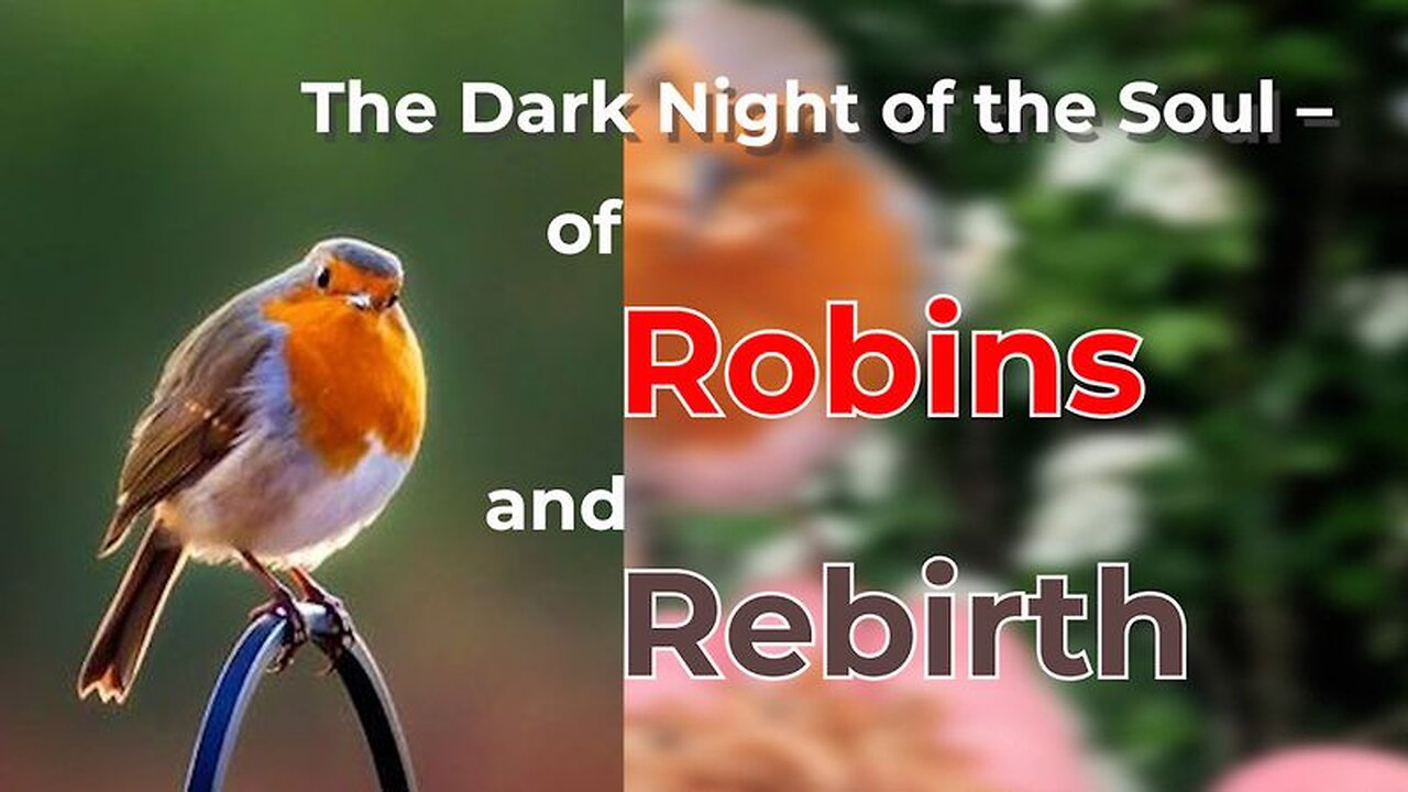 The Dark Night of the Soul – of Robins and Rebirth