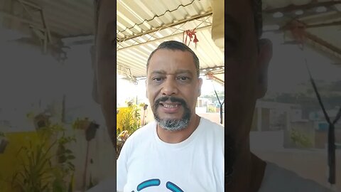 lindo dia com o nossobzoinho #gatos #dialindo #familiaflima