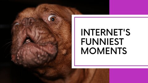 From epic fails to viral pranks, the internet's comedy vault is filled with timeless treasures 😂✨