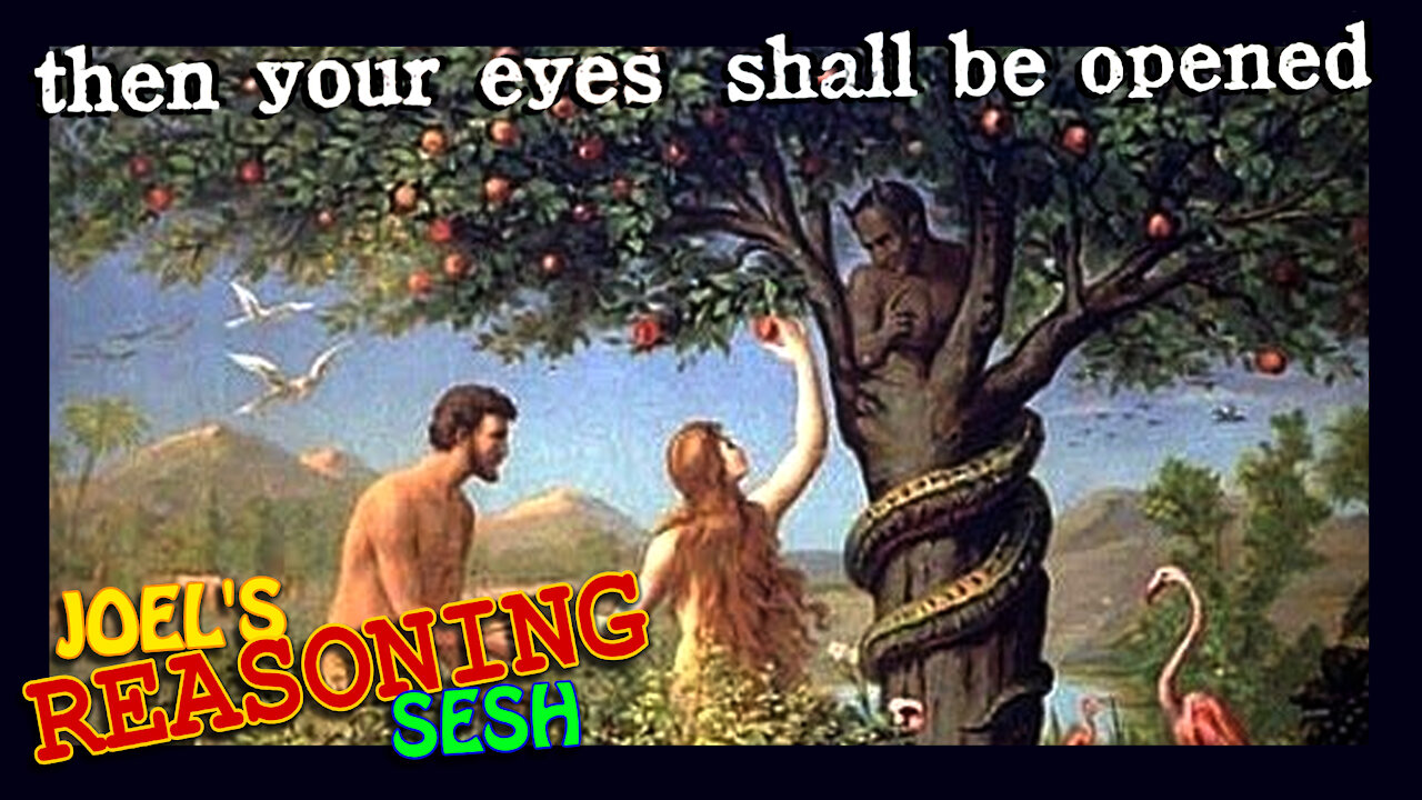 THE LIE OF THE WOKE AGENDA