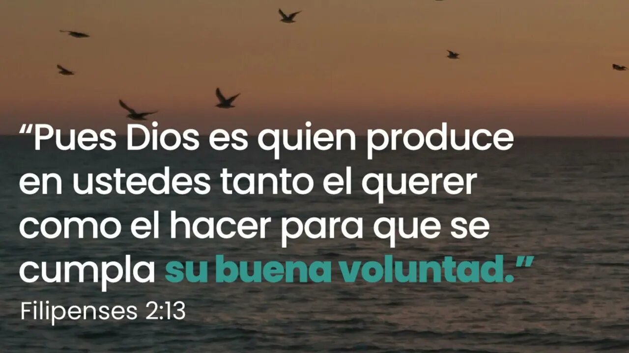 Dios produce tanto el querer como el hacer #devocional #devocionaldiario