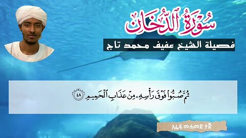 بتلاوة رائعة | سورة الدخان كاملة | الشيخ : عفيف محمد تاج : | Sh.Afif Mohamed Taj #አፊፍ ሙሐመድ ታጅ