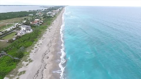 South Florida tourism industry rebounds after red tide outbreak this fall