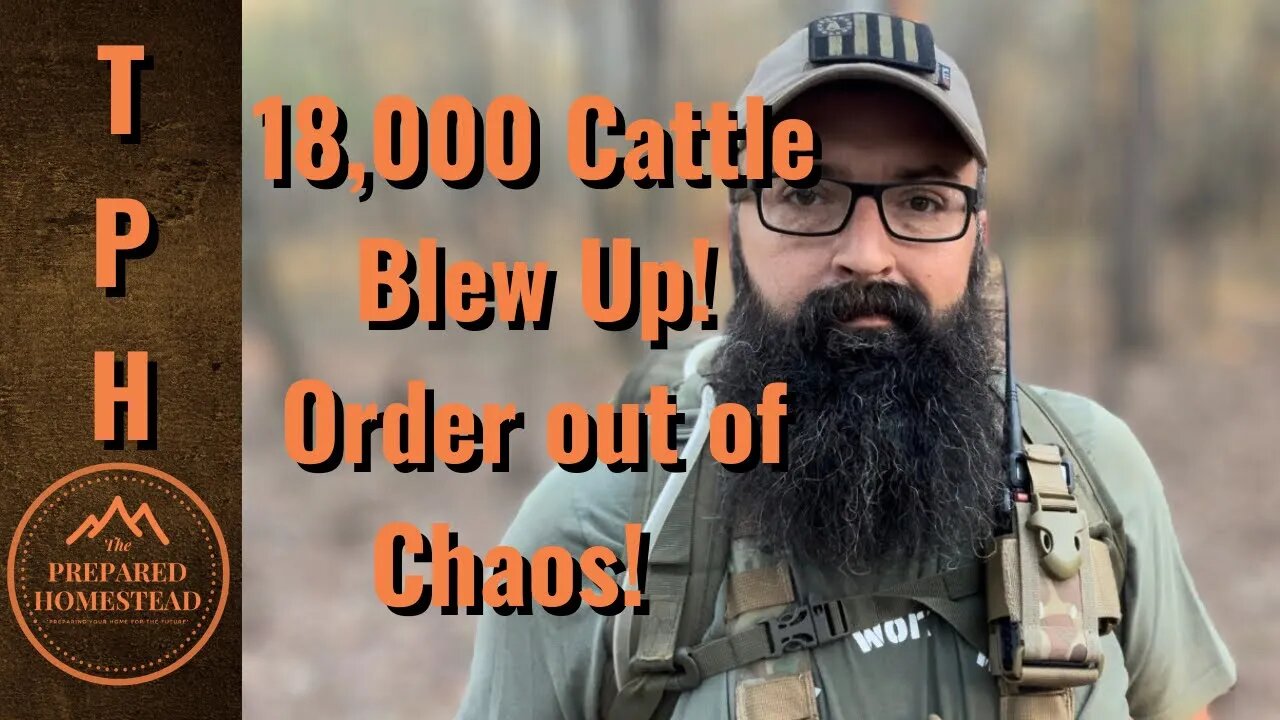 18,000 cattle blew up! Order out of Chaos!