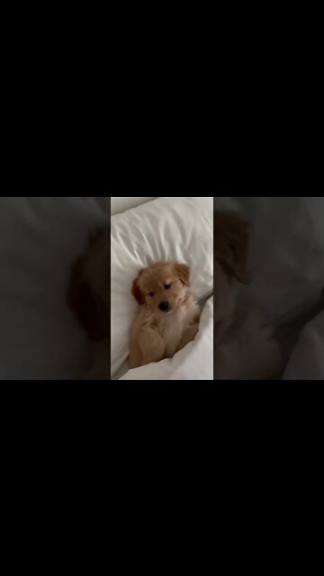 Awakening and stay in 5D , # short