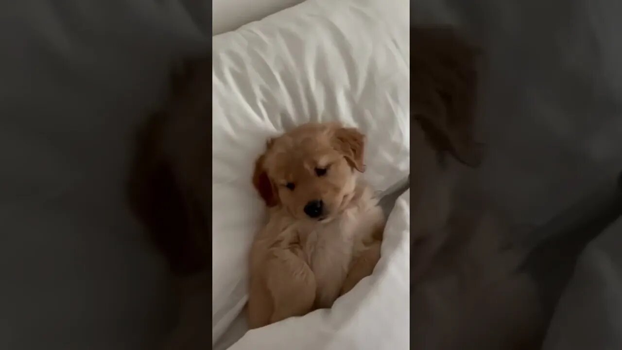 Awakening and stay in 5D , # short