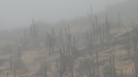 A welcome wet day in the desert