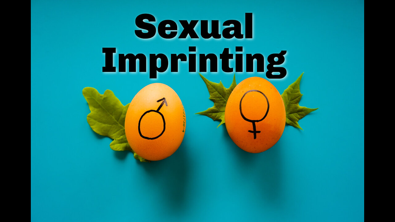 Sexual Imprinting