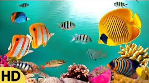 One Hour Under Water Inner Peace I Relaxing Music I Meditation Music