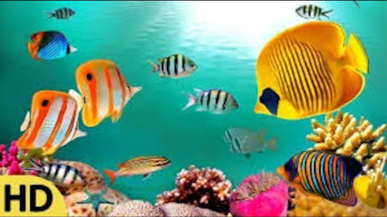 One Hour Under Water Inner Peace I Relaxing Music I Meditation Music