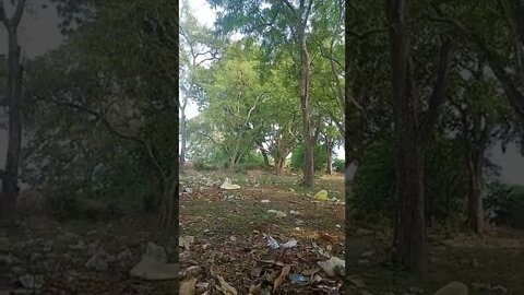 horror WhatsApp status