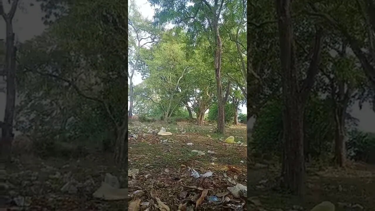 horror WhatsApp status