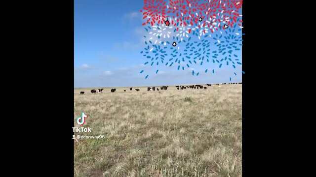 Missing President Trump on the 4th