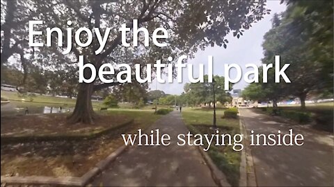 Travelling through Victoria Park in Sydney (virtual exercise) #shorts #OneTakeTour