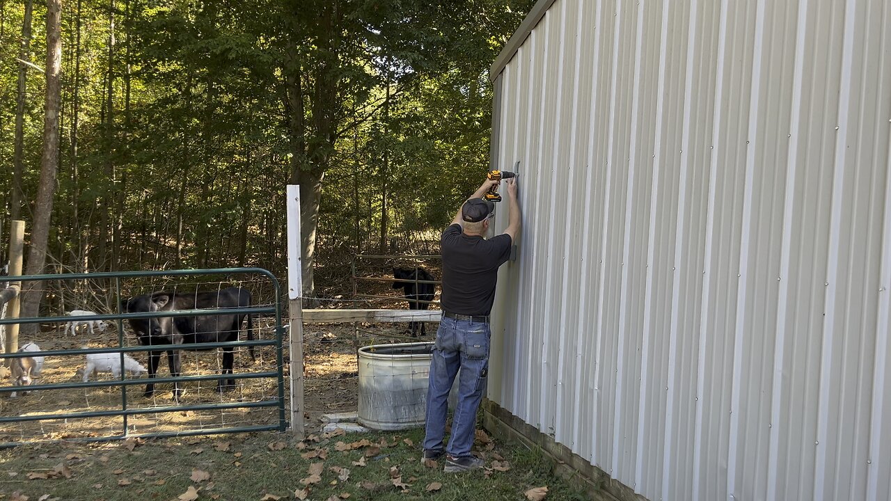 Hooking Up Electric ⚡️ To The Barn #electric #barn #farm #homestead