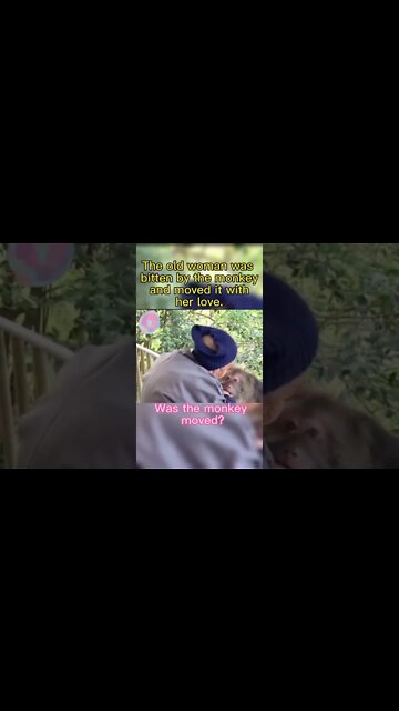This Lady was bitten by the monkey and moved it with love ❤️ #shorts #kindness