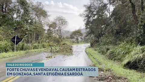 Vale do Rio Doce: Fortes chuvas e vendaval causam estragos em Gonzaga, Santa Efigênia e Sardoá.