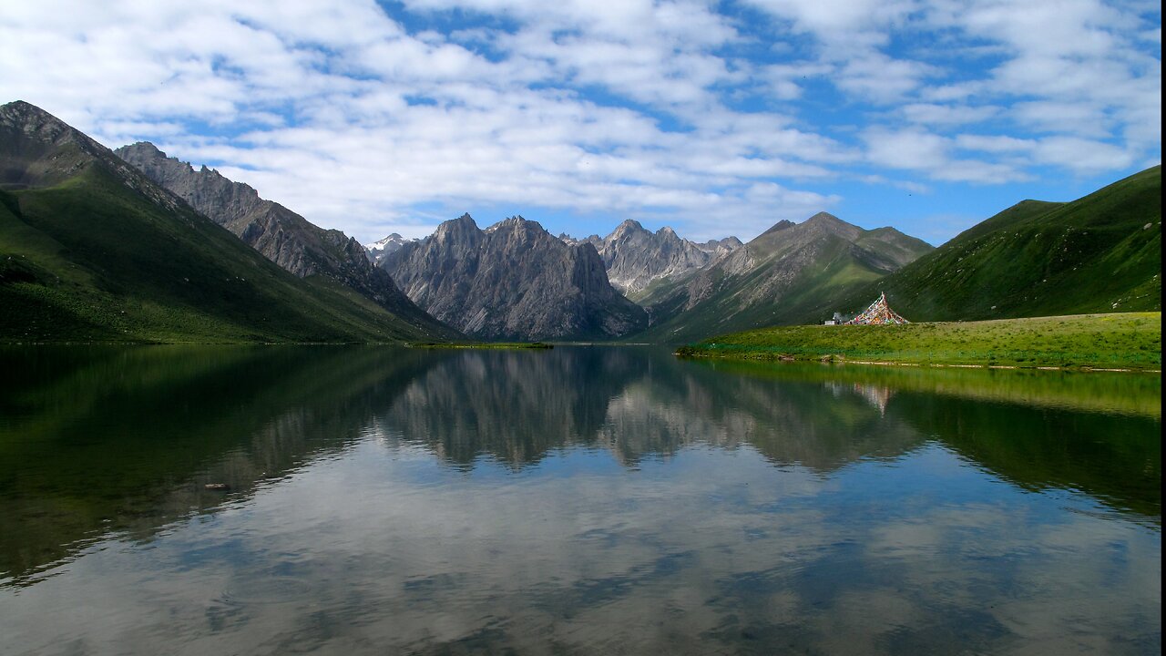 Why is the Tibetan Plateau's Ecosystem so Unique?