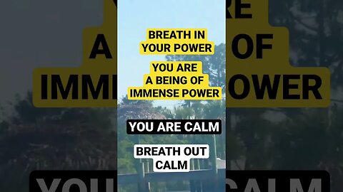 You are a being of immense power breathe to calm#shortsfeed #goodvibes #calm #breathing #manifest🦋