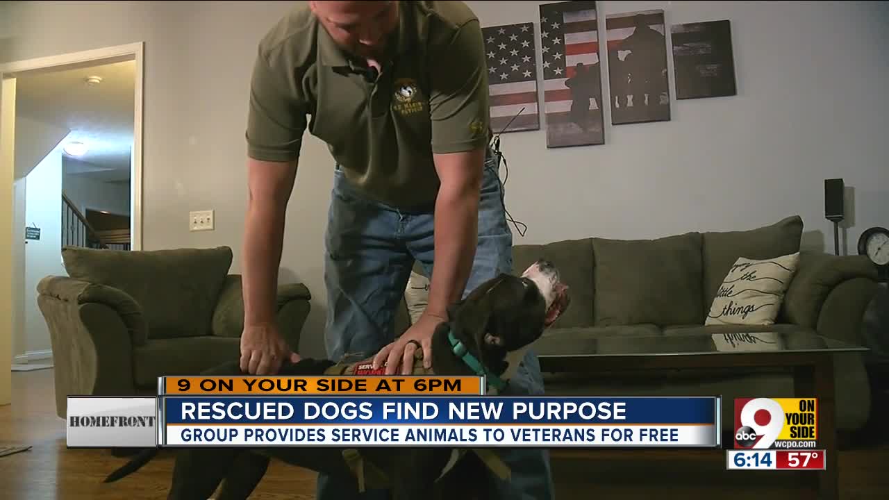 Rescued dogs find new purpose