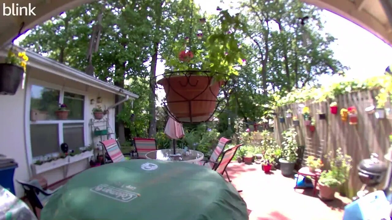 NORTH_VIDEO_DOOR_BELL_2023-05-16T11_53_47-0400.mp4