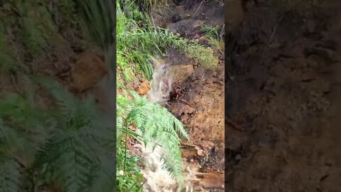 Spring flowing in flood. Day 3