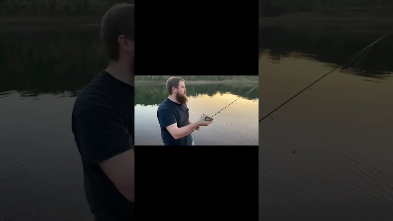 Catching Catfish Below Bagnell Dam In Missouri #fishing #catfish #catfishing #missouri #fishinglife