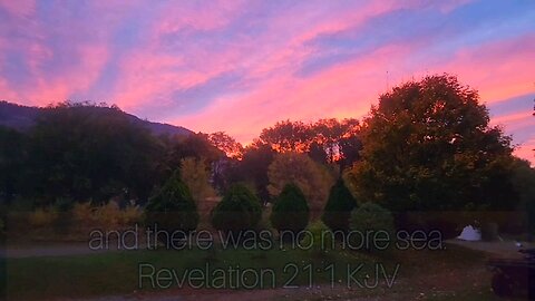 Revelations