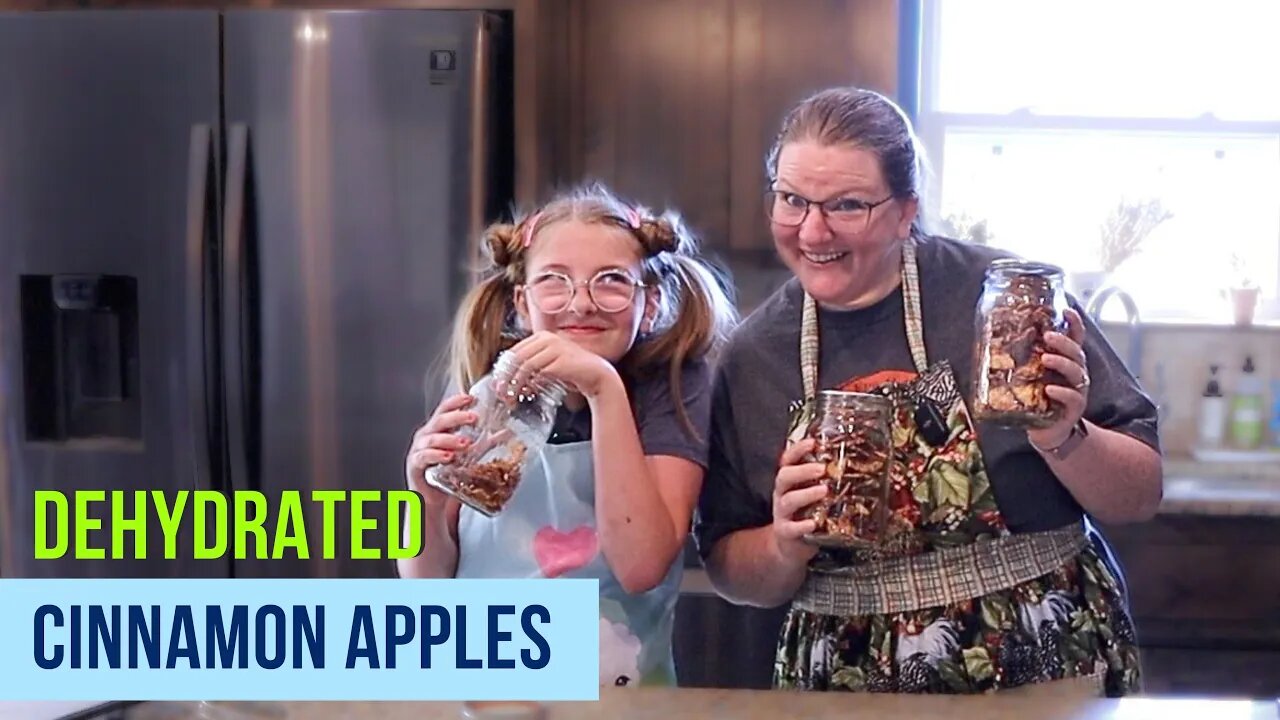 Make Your Own Dehydrated Cinnamon Apples