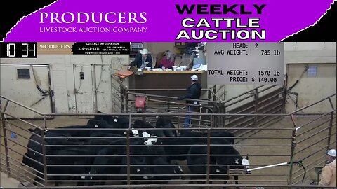 2/23/2023 - Producers Livestock Auction Company Cattle Auction