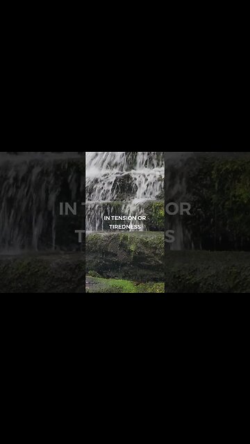 Listen to full meditations at Women's meditation network channel #meditation #sleep #shorts