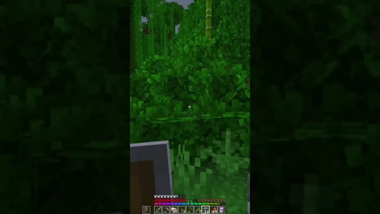 Useless Bird #minecraft #shorts