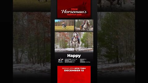 Group 5 - ♦𝐓𝐇𝐄 𝓗𝓸𝓻𝓼𝓮𝓶𝓪𝓷'𝓼 𝐒𝐇𝐎𝐖𝐂𝐀𝐒𝐄♦ online auction ending Monday | December 12th! At Horsebid.com!