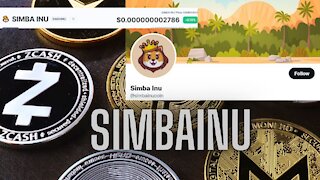 SIMBAINU new coin, current price $0.00000000000449 #crypto