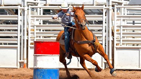 The 3 Largest Rodeos to Check Out Across America