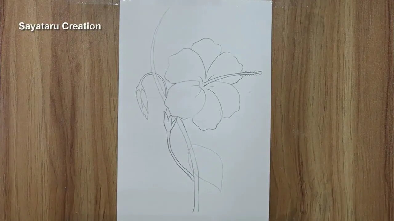 How to draw a hibiscus flower step by step pencil sketch