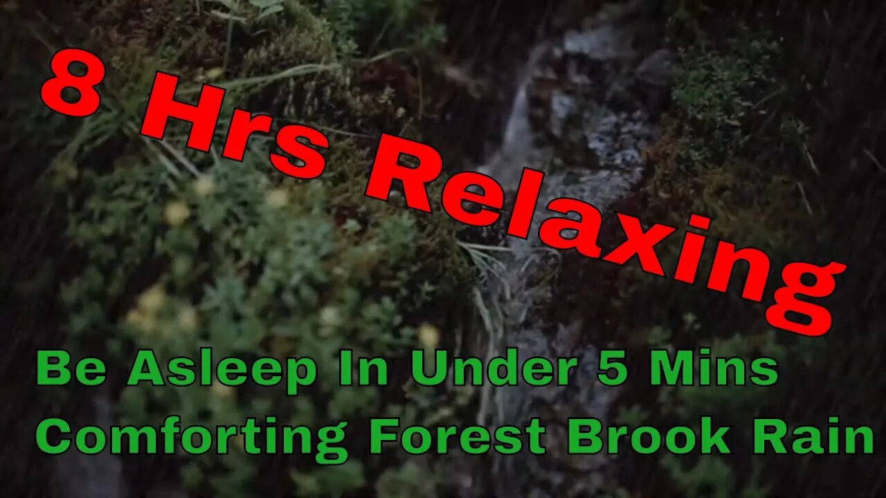 Nurse Approved, 8 HRS Relaxing Forest Brooke With Subtle Rain