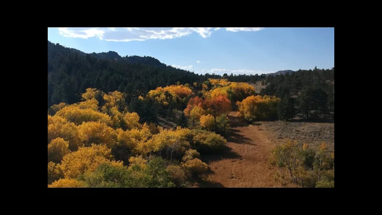 Climate Emergency Monday